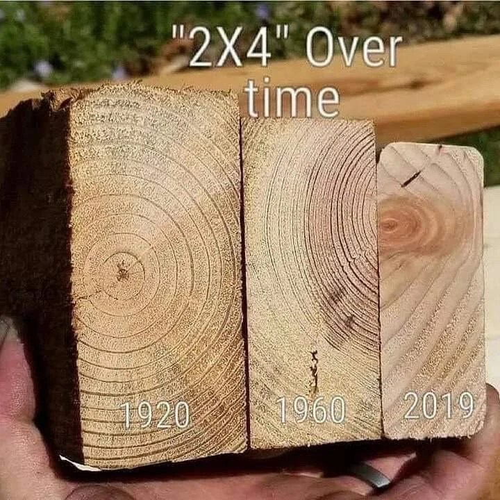 How the Quality and Size of 2×4 Lumber Has Changed Over Time