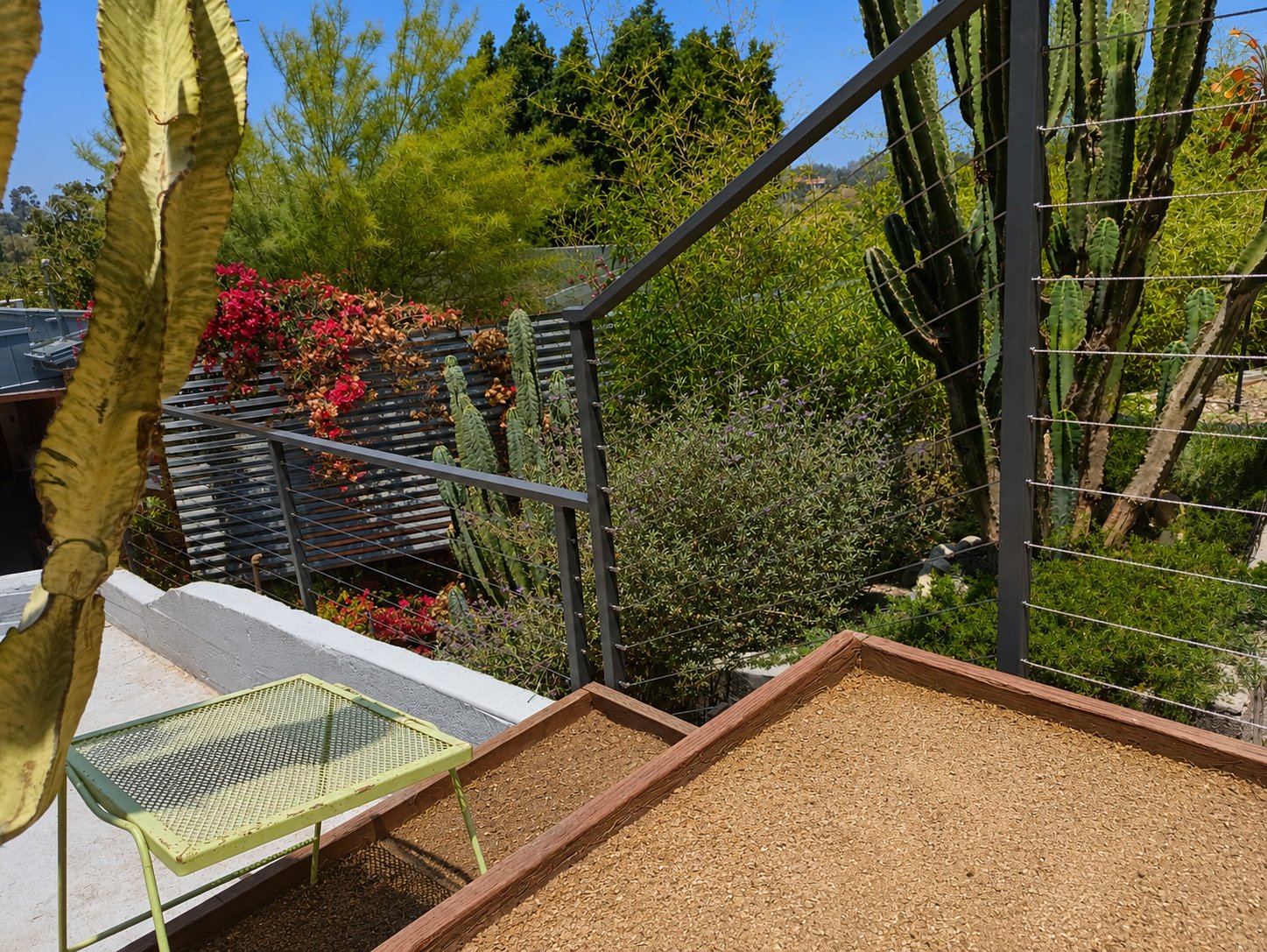 Cable railing around backyard seating deck in LA hillside garden, bougainvillea and cacti landscape