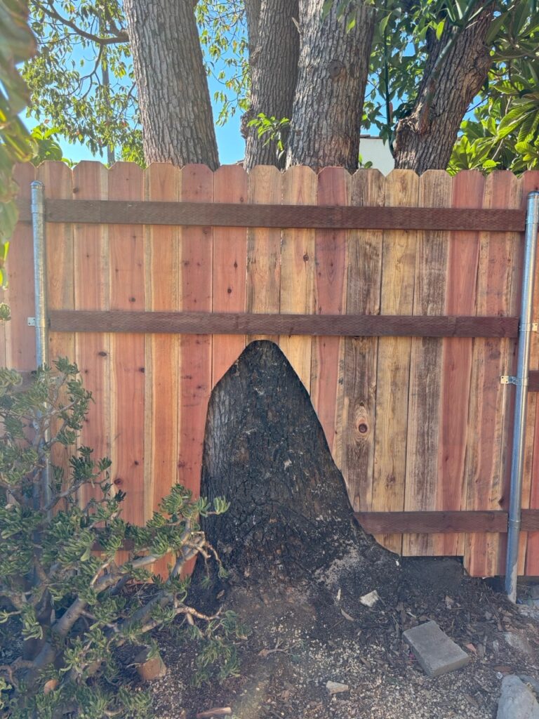 ProHands fences railings gates work