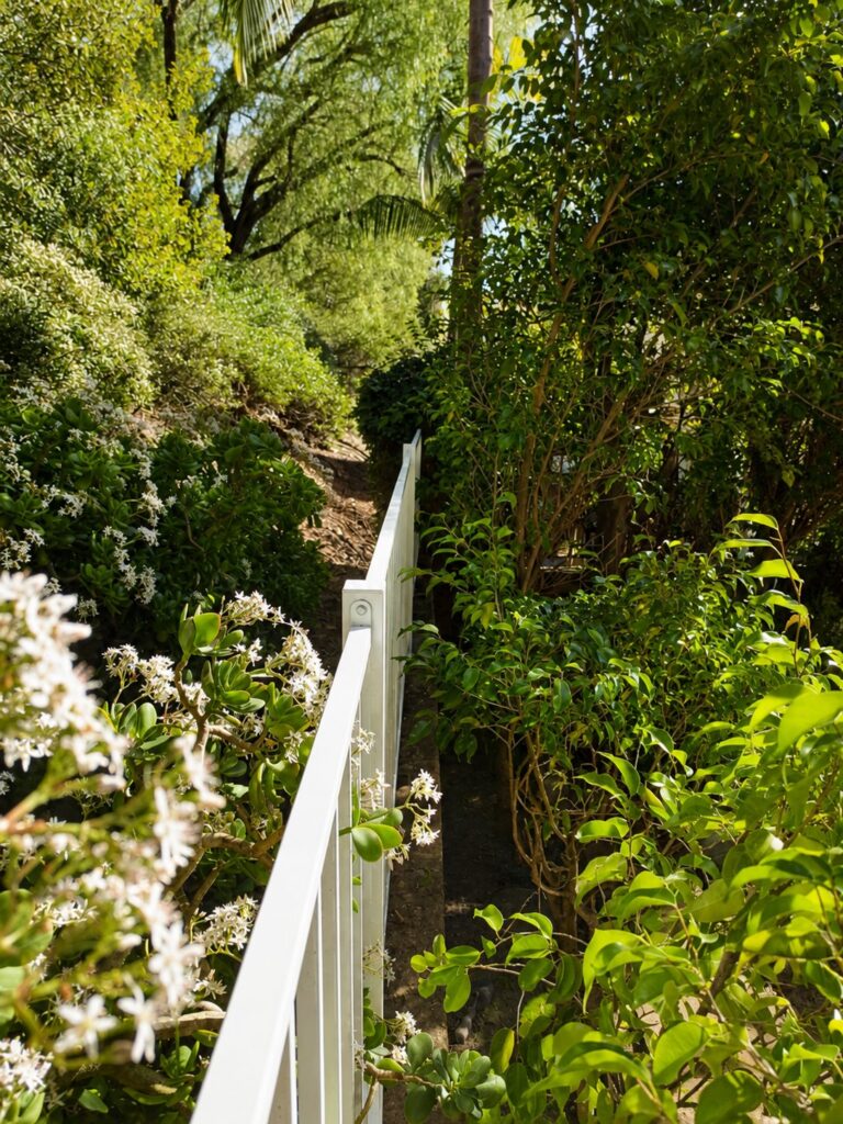 Top-down view of the steel railing looking into the hillside garden — Los Angeles