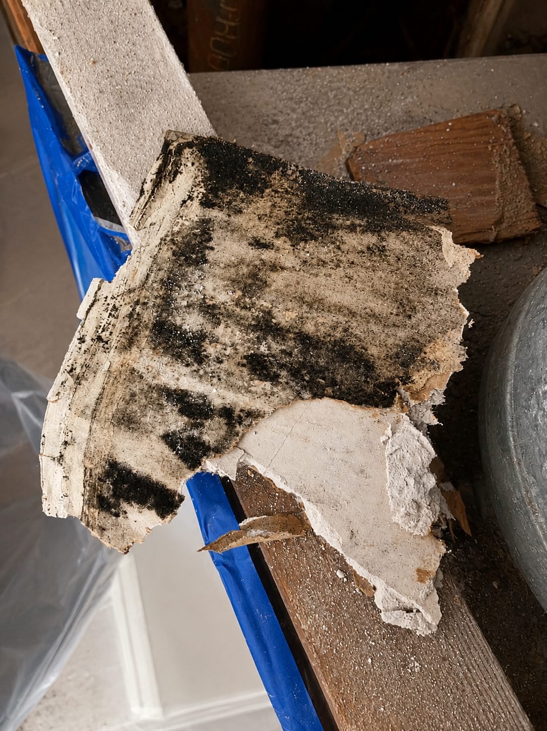 HVAC-area mold cleanup during interior remediation by ProHands in Los Angeles