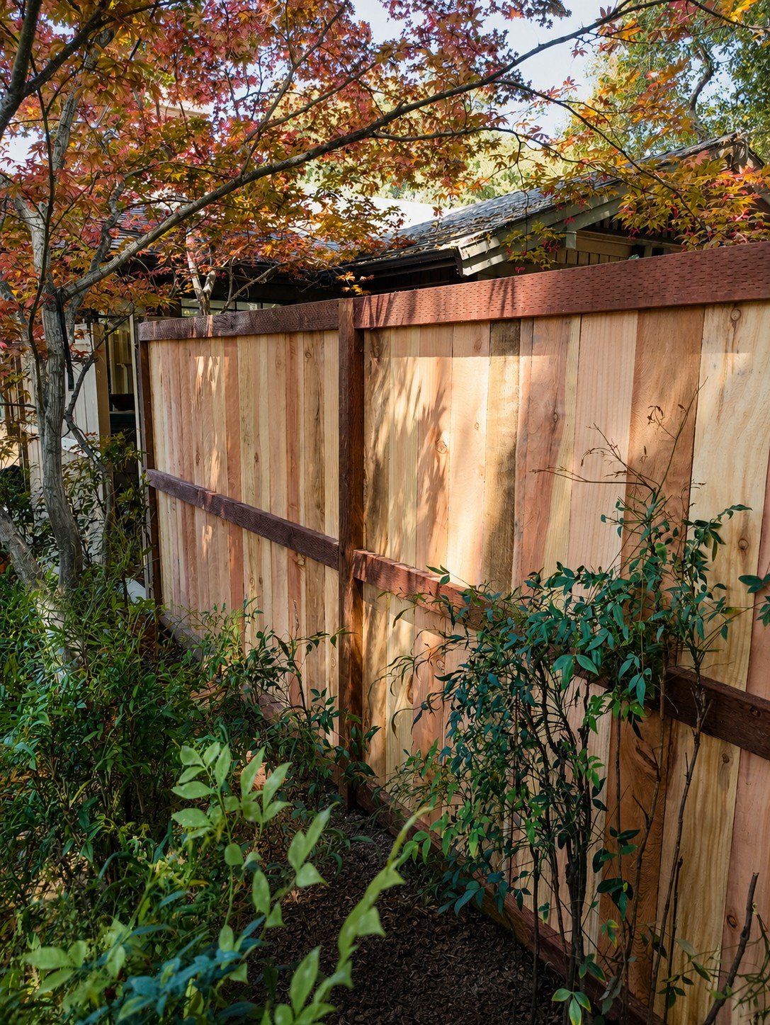 Natural cedar privacy fence corner detail — vertical plank field with dark-stained rails and post, autumn maple tree overhead — ProHands Los Angeles