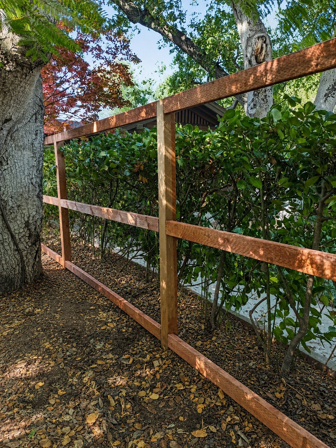 Natural cedar privacy fence during framing stage — dark-stained posts and horizontal rails installed before pickets, showing structural framework — ProHands Los Angeles