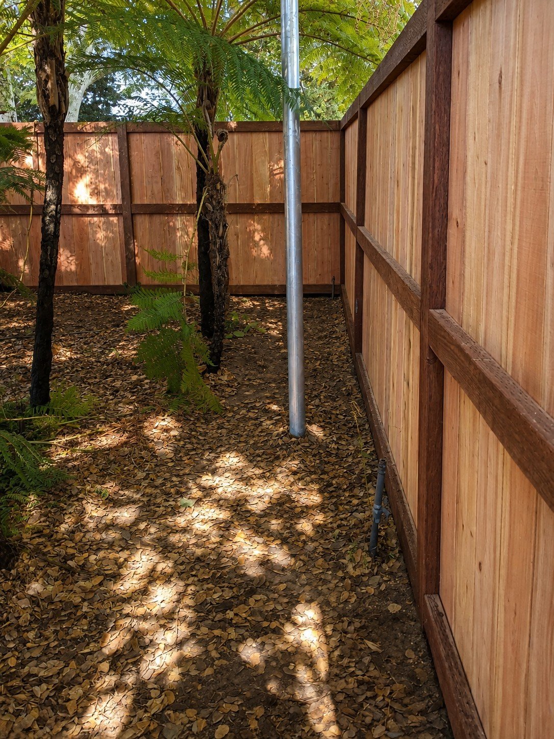 Natural cedar privacy fence along a narrow side yard — vertical plank panels, dark-stained rails and posts, jacaranda trees, ProHands Los Angeles